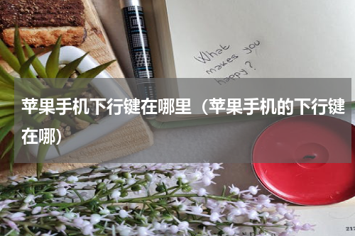 苹果手机下行键在哪里（苹果手机的下行键在哪）