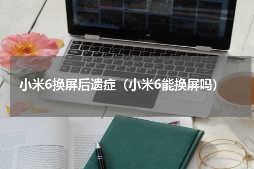 小米6换屏后遗症（小米6能换屏吗）