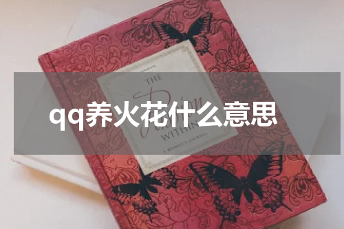 qq养火花什么意思