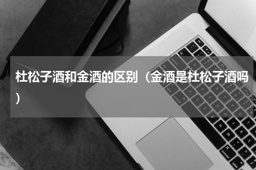 杜松子酒和金酒的区别（金酒是杜松子酒吗）