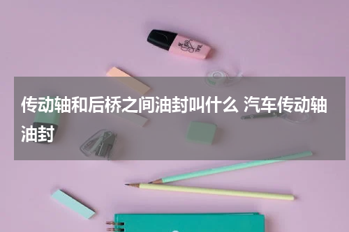 传动轴和后桥之间油封叫什么 汽车传动轴油封
