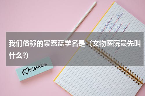 我们俗称的景泰蓝学名是（文物医院最先叫什么?）