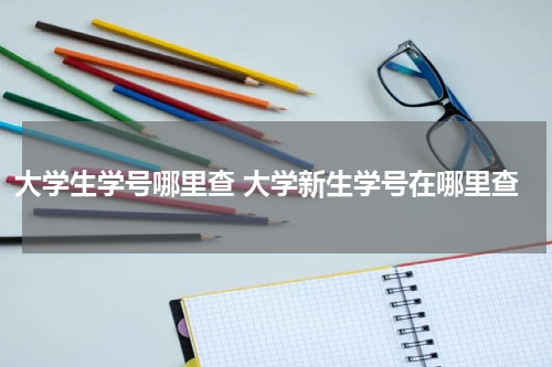 大学生学号哪里查 大学新生学号在哪里查