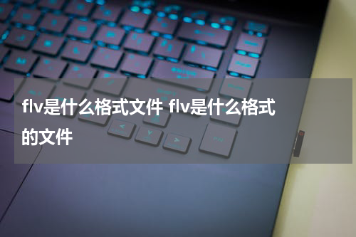 flv是什么格式文件 flv是什么格式的文件