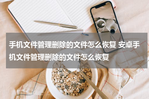 手机文件管理删除的文件怎么恢复 安卓手机文件管理删除的文件怎么恢复