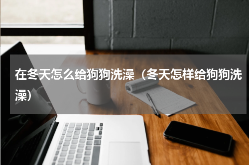 在冬天怎么给狗狗洗澡（冬天怎样给狗狗洗澡）