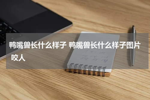 鸭嘴兽长什么样子 鸭嘴兽长什么样子图片 咬人