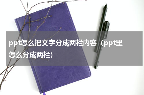 ppt怎么把文字分成两栏内容（ppt里怎么分成两栏）