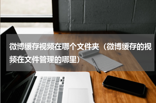 微博缓存视频在哪个文件夹（微博缓存的视频在文件管理的哪里）