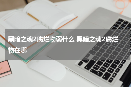 黑暗之魂2腐烂物弱什么 黑暗之魂2腐烂物在哪