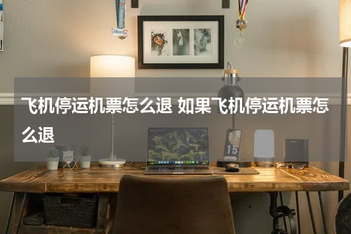 飞机停运机票怎么退 如果飞机停运机票怎么退