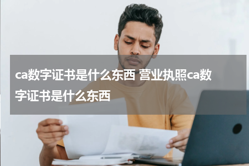 ca数字证书是什么东西 营业执照ca数字证书是什么东西