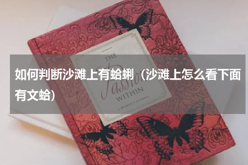 如何判断沙滩上有蛤蜊（沙滩上怎么看下面有文蛤）
