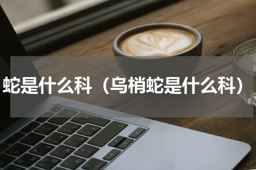 蛇是什么科（乌梢蛇是什么科）