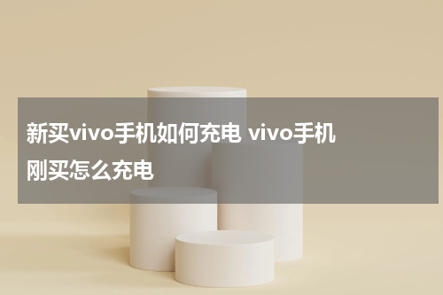 新买vivo手机如何充电 vivo手机刚买怎么充电