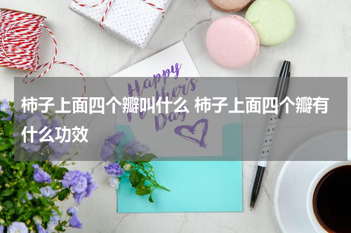 柿子上面四个瓣叫什么 柿子上面四个瓣有什么功效
