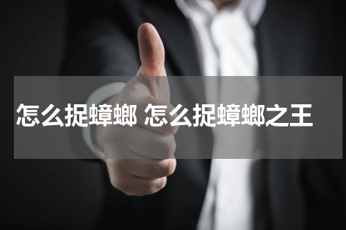 怎么捉蟑螂 怎么捉蟑螂之王
