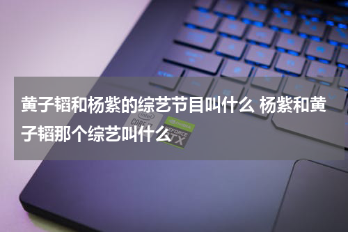 黄子韬和杨紫的综艺节目叫什么 杨紫和黄子韬那个综艺叫什么