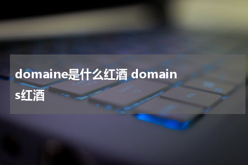 domaine是什么红酒 domains红酒