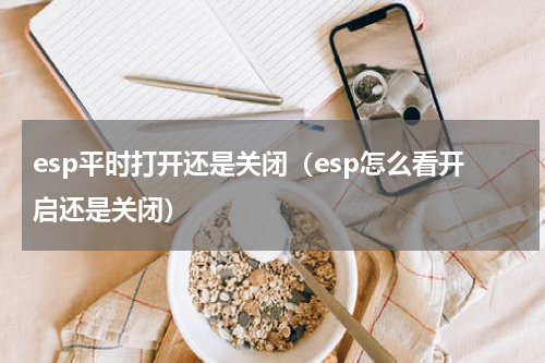 esp平时打开还是关闭（esp怎么看开启还是关闭）