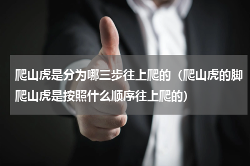 爬山虎是分为哪三步往上爬的（爬山虎的脚爬山虎是按照什么顺序往上爬的）