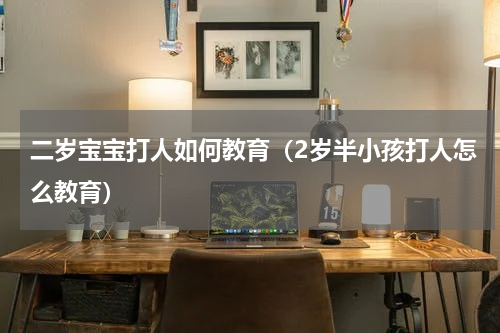 二岁宝宝打人如何教育（2岁半小孩打人怎么教育）