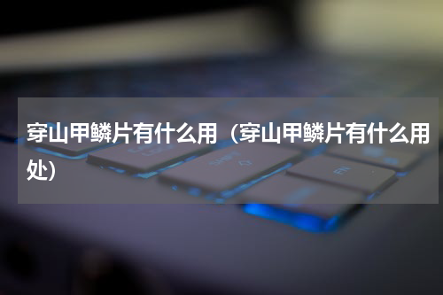 穿山甲鳞片有什么用（穿山甲鳞片有什么用处）