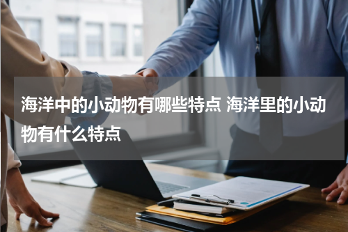 海洋中的小动物有哪些特点 海洋里的小动物有什么特点