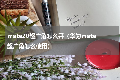 mate20超广角怎么开（华为mate超广角怎么使用）