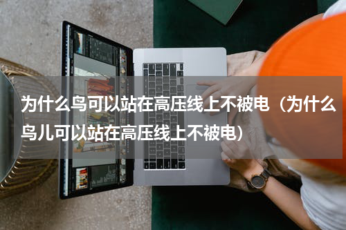 为什么鸟可以站在高压线上不被电（为什么鸟儿可以站在高压线上不被电）