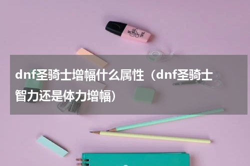 dnf圣骑士增幅什么属性（dnf圣骑士智力还是体力增幅）