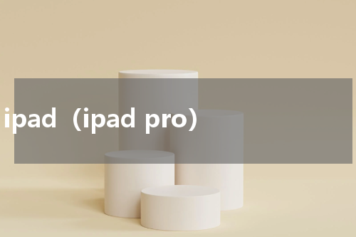 ipad（ipad pro）