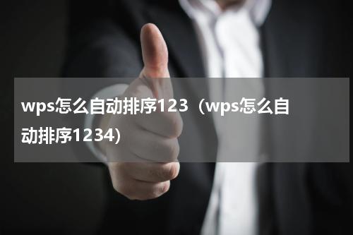 wps怎么自动排序123（wps怎么自动排序1234）