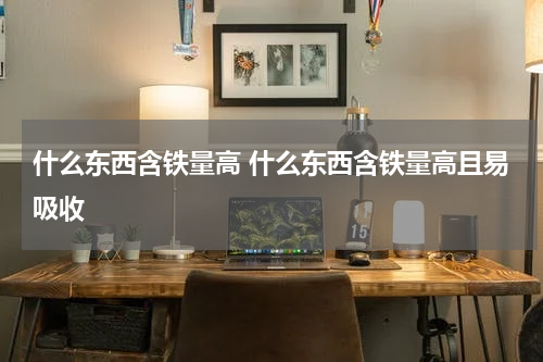 什么东西含铁量高 什么东西含铁量高且易吸收
