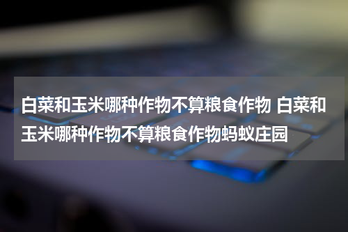 白菜和玉米哪种作物不算粮食作物 白菜和玉米哪种作物不算粮食作物蚂蚁庄园
