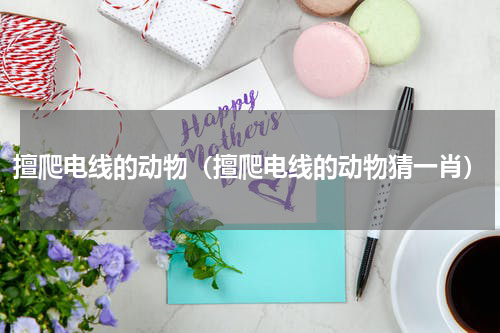 擅爬电线的动物（擅爬电线的动物猜一肖）