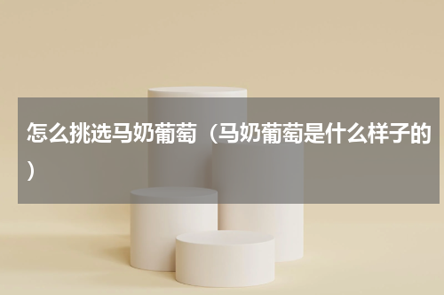怎么挑选马奶葡萄（马奶葡萄是什么样子的）