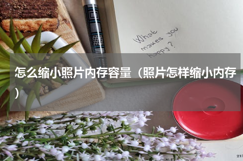 怎么缩小照片内存容量（照片怎样缩小内存）