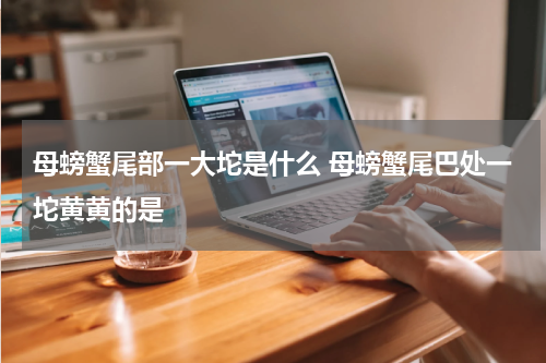 母螃蟹尾部一大坨是什么 母螃蟹尾巴处一坨黄黄的是