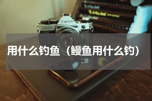 用什么钓鱼（鳗鱼用什么钓）