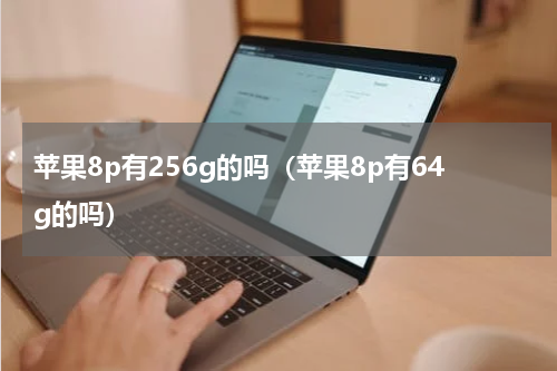 苹果8p有256g的吗（苹果8p有64g的吗）