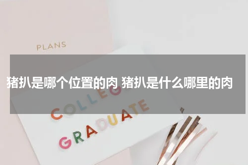 猪扒是哪个位置的肉 猪扒是什么哪里的肉