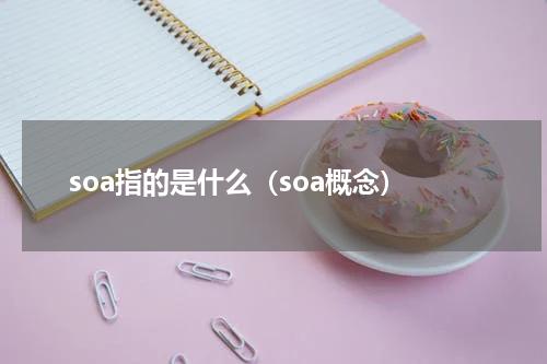 soa指的是什么（soa概念）