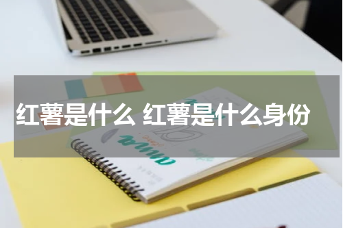 红薯是什么 红薯是什么身份