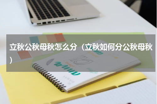 立秋公秋母秋怎么分（立秋如何分公秋母秋）