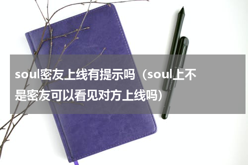 soul密友上线有提示吗（soul上不是密友可以看见对方上线吗）