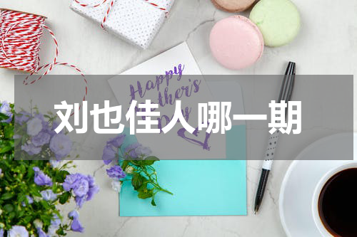 刘也佳人哪一期