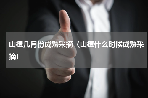 山楂几月份成熟采摘（山楂什么时候成熟采摘）