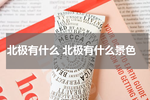 北极有什么 北极有什么景色