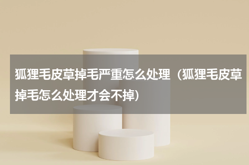 狐狸毛皮草掉毛严重怎么处理（狐狸毛皮草掉毛怎么处理才会不掉）